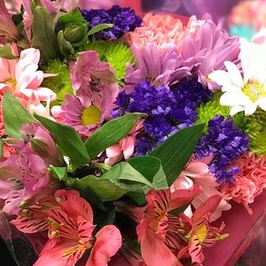 Meet your Posher, Mayar